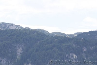DSC_0036.jpg