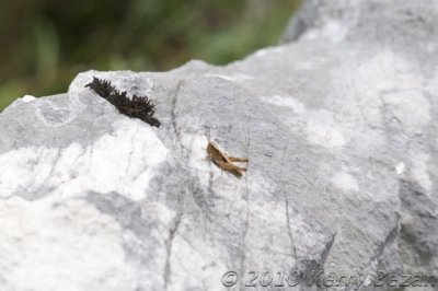 DSC_0047.jpg