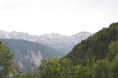 DSC_0075.jpg