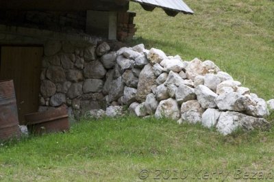 DSC_0087.jpg