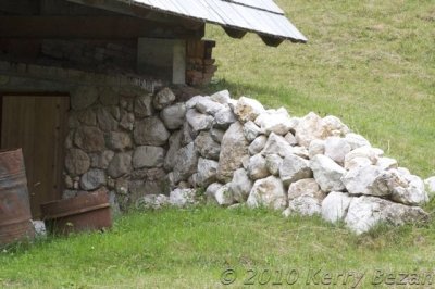 DSC_0088.jpg