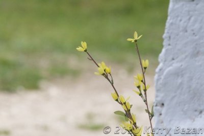 DSC_0090.jpg