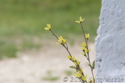 DSC_0091.jpg