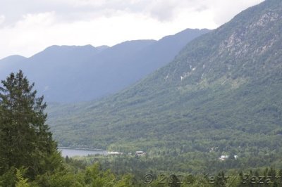 DSC_0092.jpg