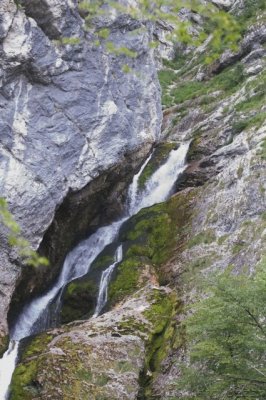 DSC_0095.jpg