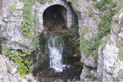 DSC_0100.jpg