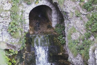 DSC_0101.jpg