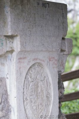 DSC_0107.jpg