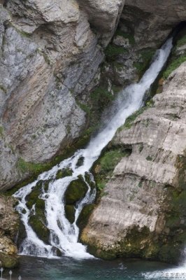 DSC_0118.jpg