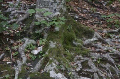 DSC_0127.jpg