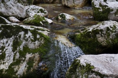 DSC_0132.jpg