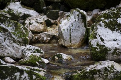DSC_0133.jpg