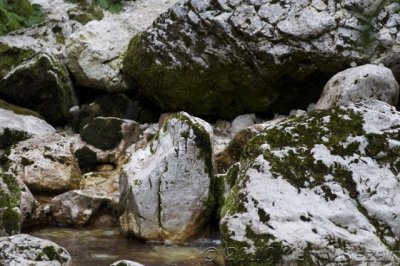 DSC_0134.jpg