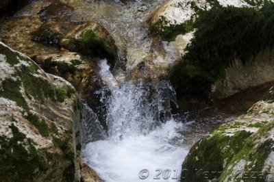 DSC_0135.jpg