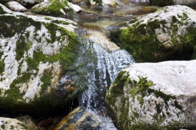 DSC_0137.jpg