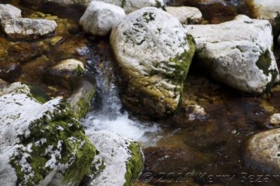 DSC_0138.jpg