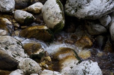 DSC_0139.jpg