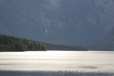DSC_0155.jpg