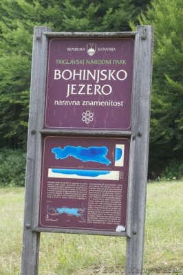 DSC_0156.jpg