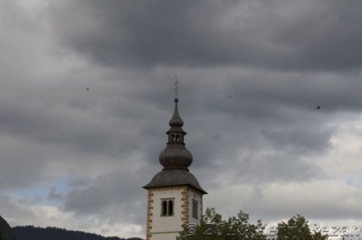 DSC_0166.jpg