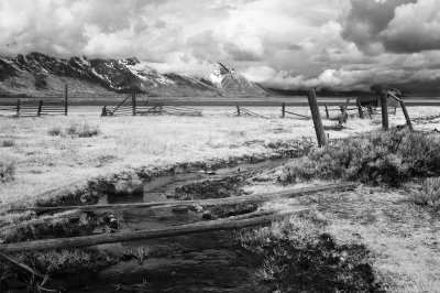 e-DSC_3903-IR.jpg