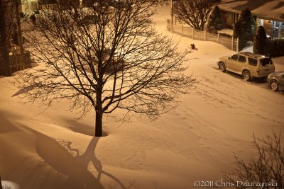 IMG_7746.jpg