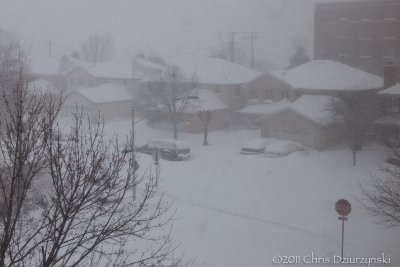 IMG_7750.jpg