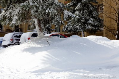 IMG_7754.jpg