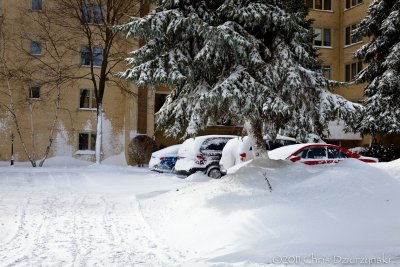 IMG_7758.jpg