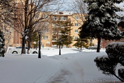 IMG_7759.jpg