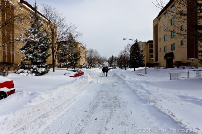 IMG_7764.jpg