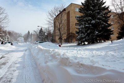 IMG_7774.jpg