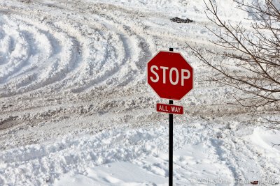 IMG_7784.jpg