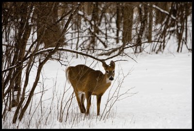 _MG_4189-9.jpg