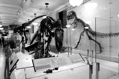 New-York November 2008 by xnir