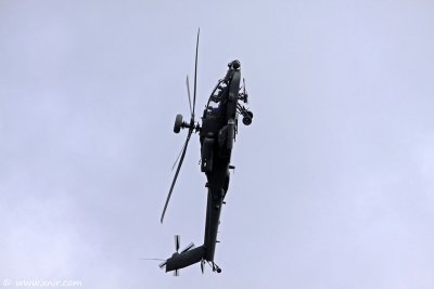 RIAT 2009