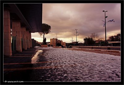 IMG_3175.jpg