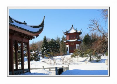 winter09.jpg