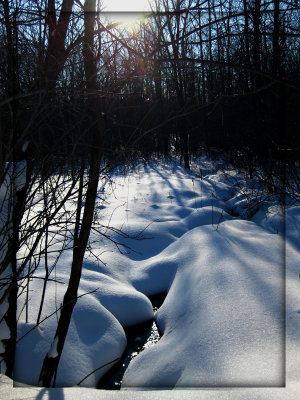 win2011_02.jpg