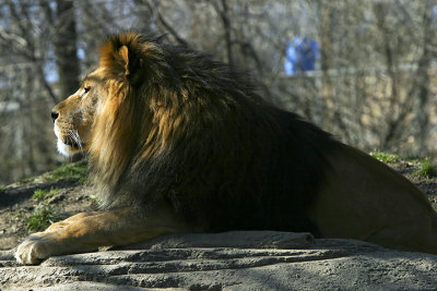 Pittsburgh Zoo & Aquarium