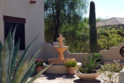 DSC_0494[1].jpg