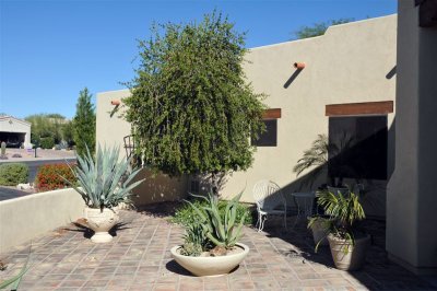 DSC_0496[1].jpg