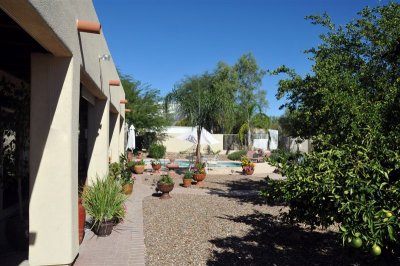 DSC_0500[1].jpg