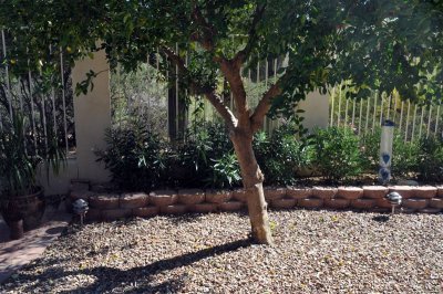 DSC_0527[1].jpg