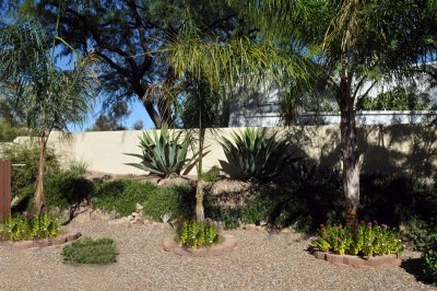 DSC_0533[1].jpg