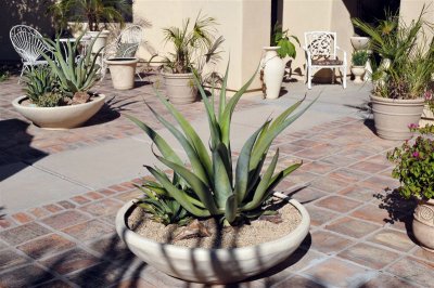 DSC_0611[2].jpg