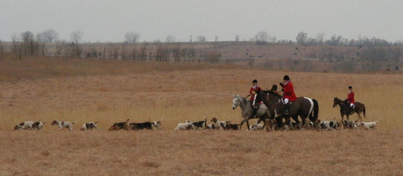 DSCN0523.JPG