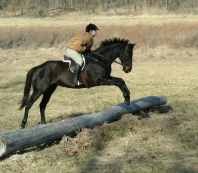 Hunting at Valley Green January 11th