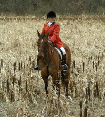 Hunting from Irish Fox Stables January 19th