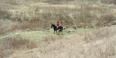 DSCN0910.JPG